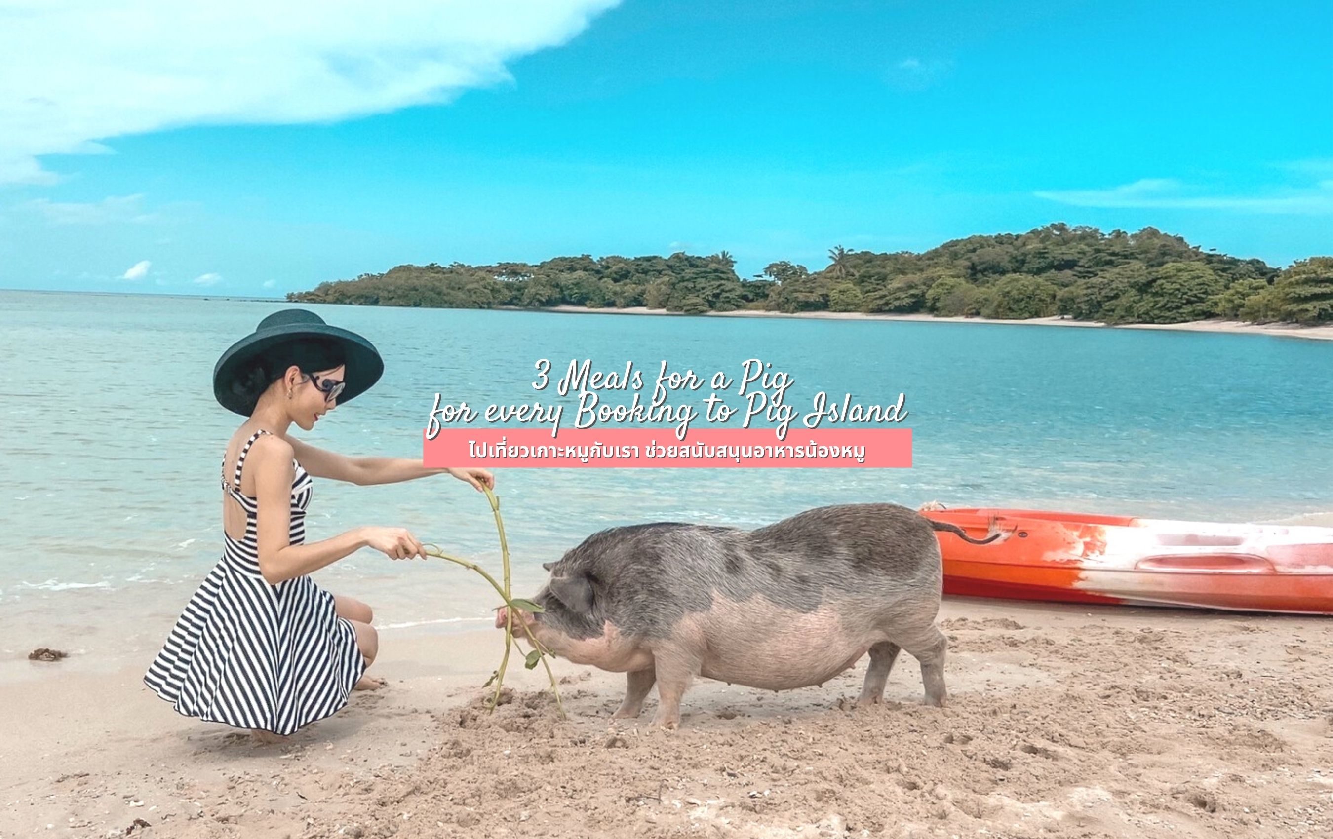 Gojo Pig Island Koh Samui
